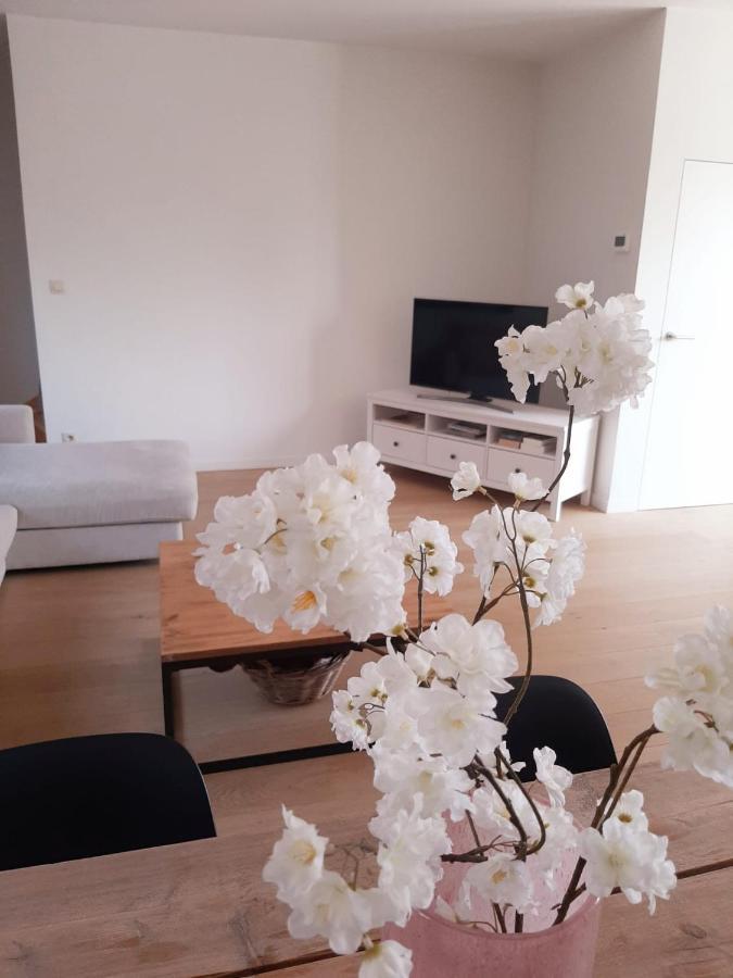 Luxe Duplex Appartement Mavi กิสเตล ภายนอก รูปภาพ